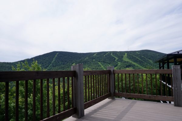 image00019